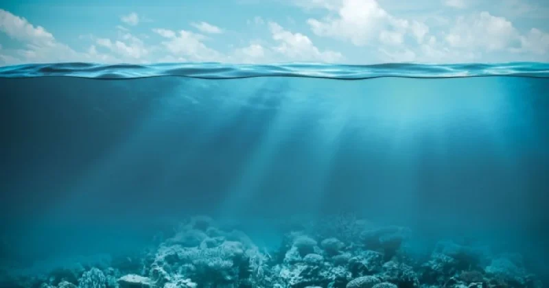 Життя біля моря може продовжити ваше життя — дослідження