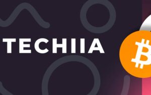 Соучредитель IT-холдинга Techiia под подозрением в мошенничестве на $110 миллионов