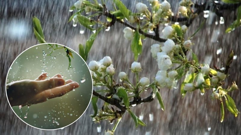 Похолодання та опади очікуються майже в усіх регіонах України
