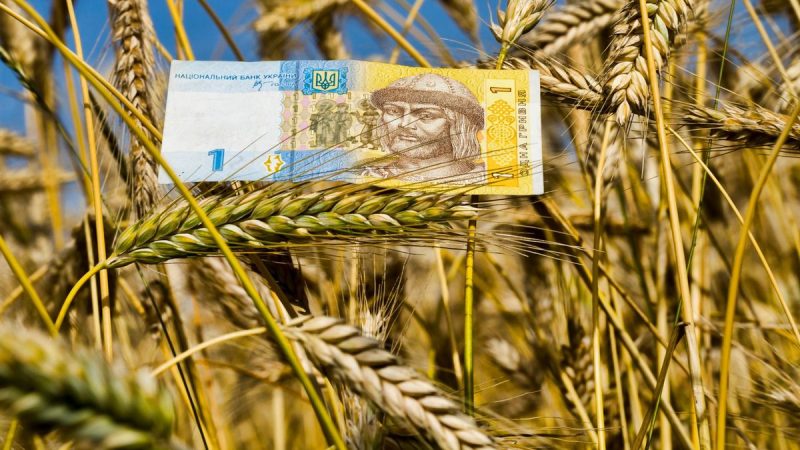 Українські фермери отримають додаткові 390 млн грн на розвиток аграрного сектору